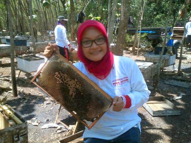 Mentoring, Monitoring, Omzet Melenting
