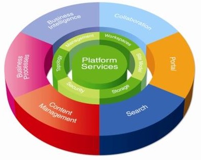 Platform Bisnis Online