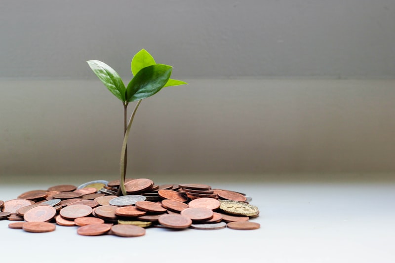 Bulan Inklusi Keuangan: Memilih Alternatif Pendanaan Securities Crowdfunding