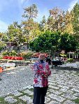 Syamsuddin